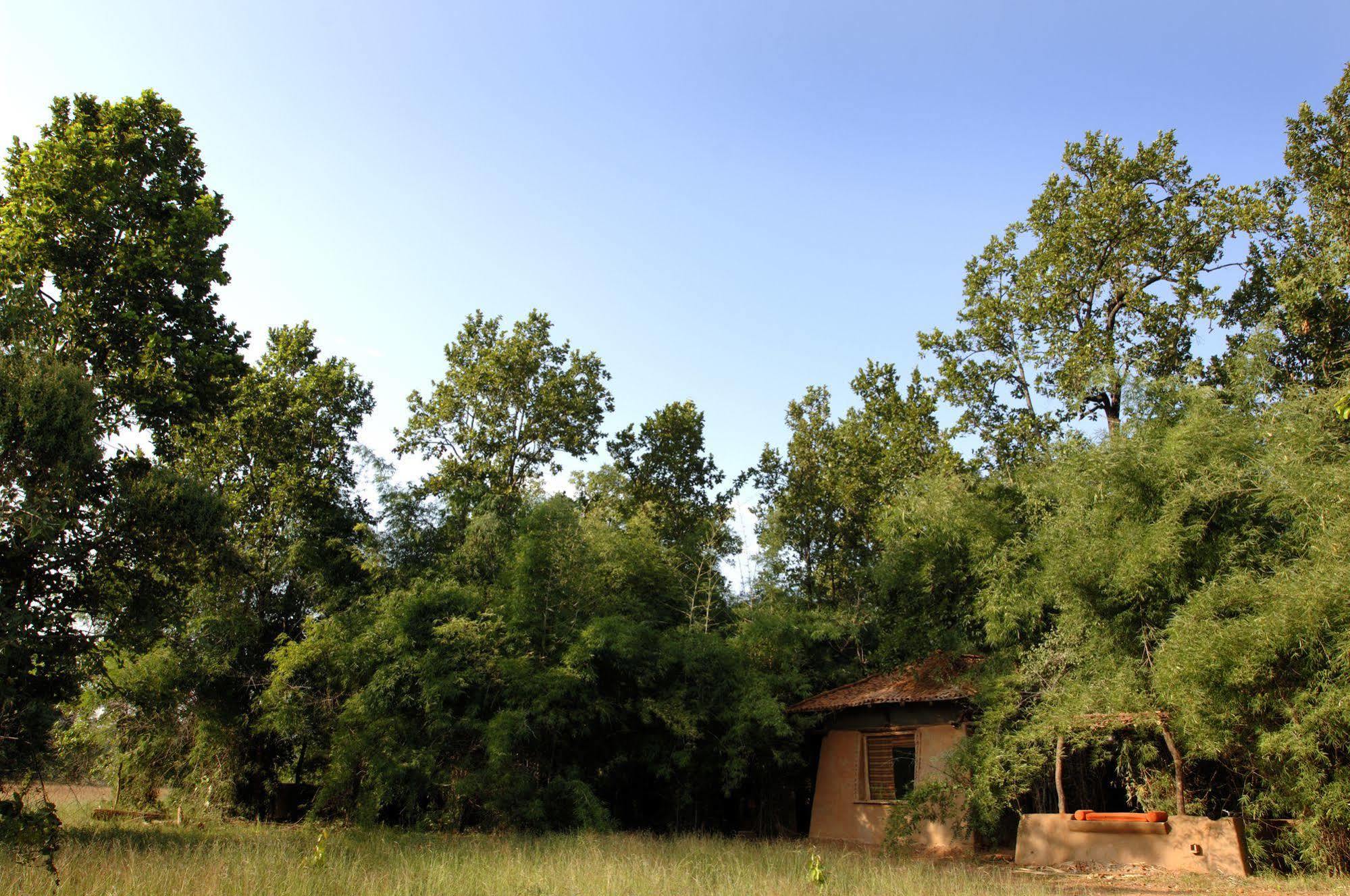 Hotel Mahua Kothi, Bandhavgarh National Park Tāla Exterior foto